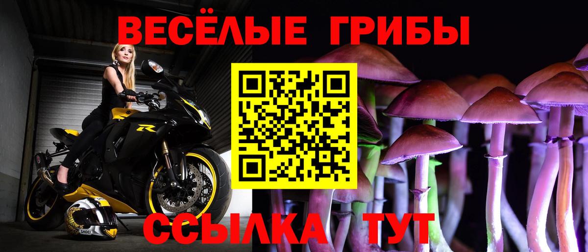Псилоцибиновые грибы Psilocybine cubensis  Вход с VPN  Верхняя Салда  Псилоцибиновые грибы MAGIC MUSHROOMS 